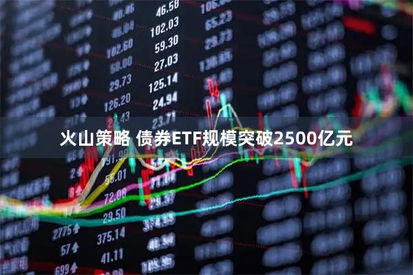 火山策略 债券ETF规模突破2500亿元