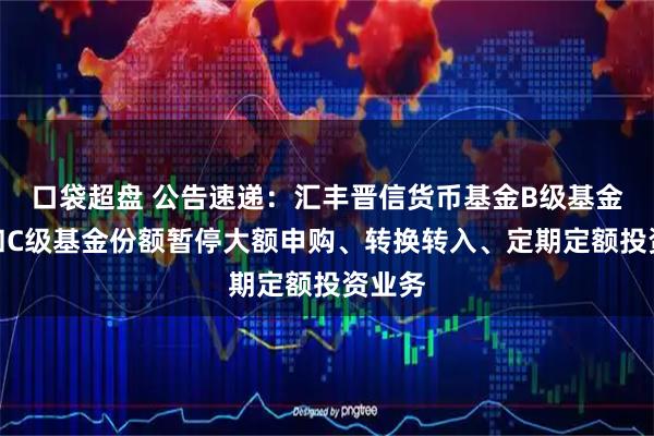 口袋超盘 公告速递：汇丰晋信货币基金B级基金份额和C级基金份额暂停大额申购、转换转入、定期定额投资业务