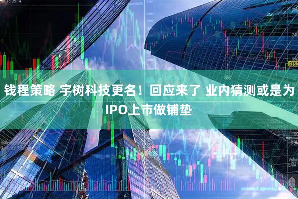钱程策略 宇树科技更名！回应来了 业内猜测或是为IPO上市做铺垫
