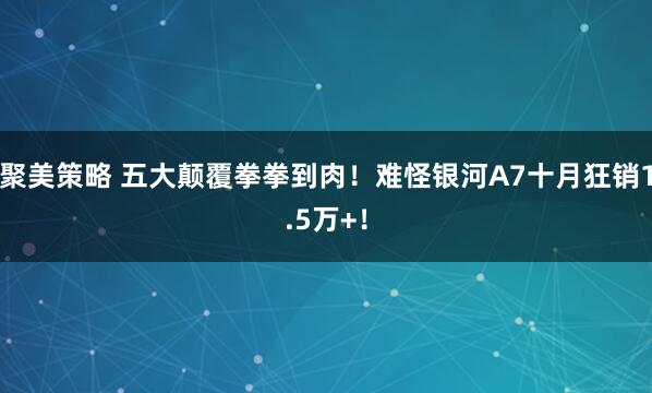 聚美策略 五大颠覆拳拳到肉！难怪银河A7十月狂销1.5万+！