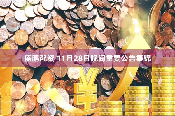 盛鹏配资 11月28日晚间重要公告集锦