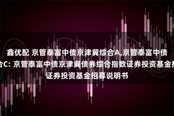 鑫优配 京管泰富中债京津冀综合A,京管泰富中债京津冀综合C: 京管泰富中债京津冀债券综合指数证券投资基金招募说明书