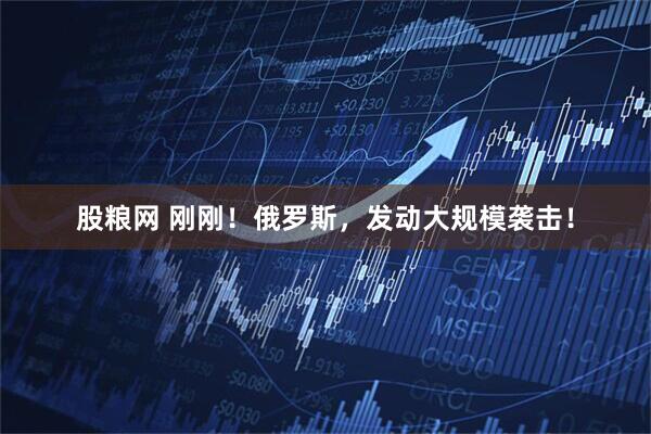 股粮网 刚刚！俄罗斯，发动大规模袭击！