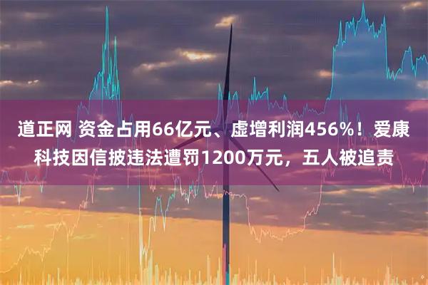 道正网 资金占用66亿元、虚增利润456%！爱康科技因信披违法遭罚1200万元，五人被追责