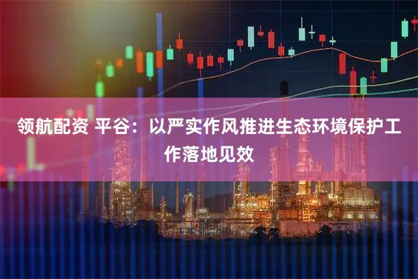 领航配资 平谷：以严实作风推进生态环境保护工作落地见效