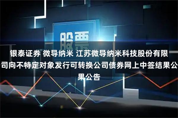 银泰证券 微导纳米 江苏微导纳米科技股份有限公司向不特定对象发行可转换公司债券网上中签结果公告